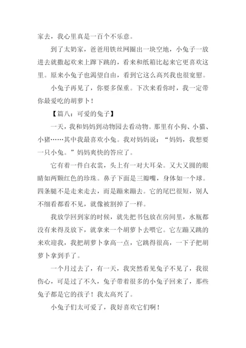 可爱的兔子作文300字.docx