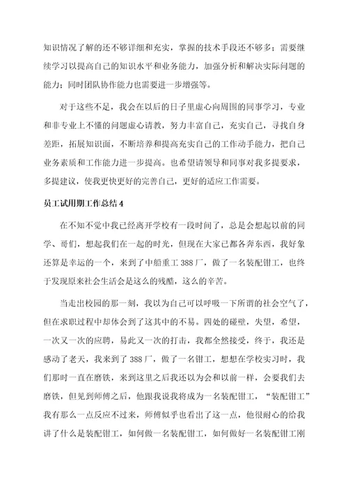 员工试用期工作总结范例