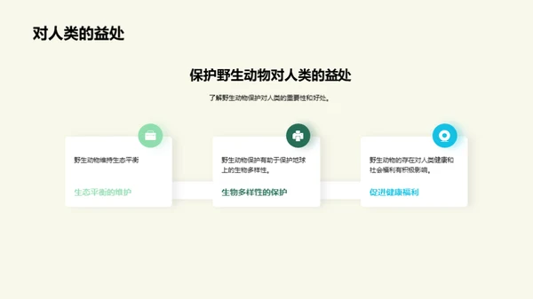 守护野生：我们的责任