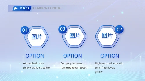 蓝色科技信息化建设工作总结PPT