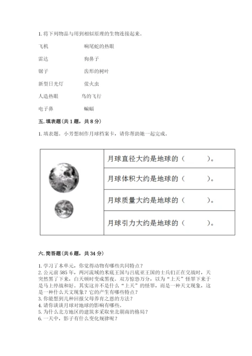 教科版三年级下册科学期末测试卷含答案【夺分金卷】.docx