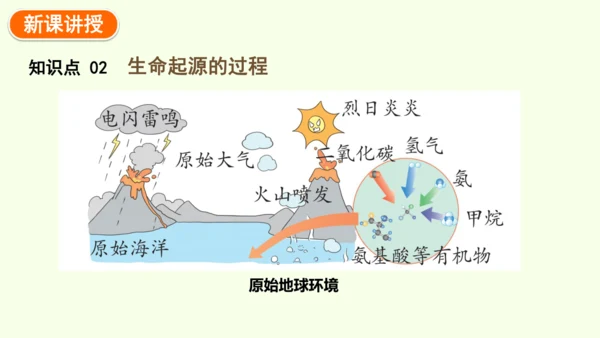 7.3.1地球上生命的起源-八年级生物人教版下学期同步精品课件(共23张PPT)