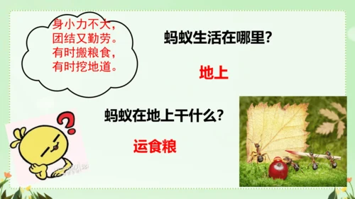 识字（二）5动物儿歌（课件）