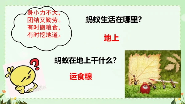 识字（二）5动物儿歌（课件）