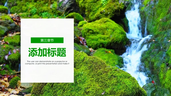 绿色环保世界湿地森林日动态PPT模板