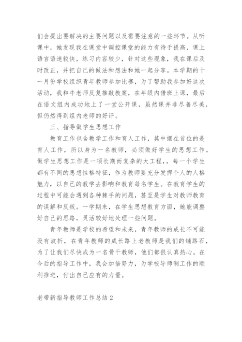 老带新指导教师工作总结.docx