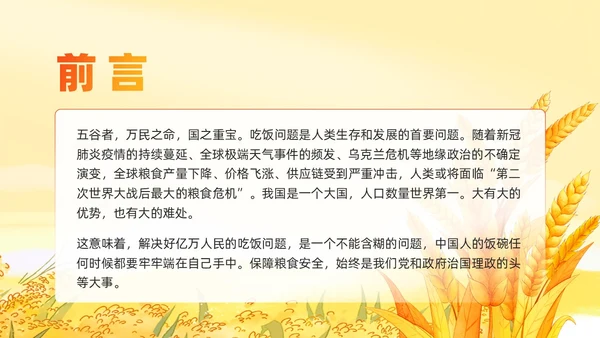 大学生形势与政策保障粮食安全的中国策ppt课件党建