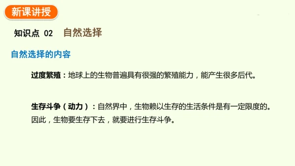 7.3.3生物进化的原因-八年级生物人教版下学期同步精品课件(共44张PPT)