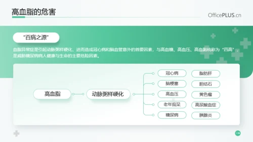 浅绿色医疗风患者高血脂教育PPT模板