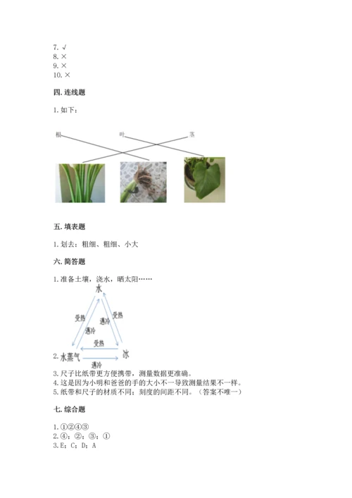 教科版科学一年级上册期末测试卷【易错题】.docx