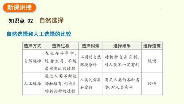 7.3.3生物进化的原因-八年级生物人教版下学期同步精品课件(共44张PPT)