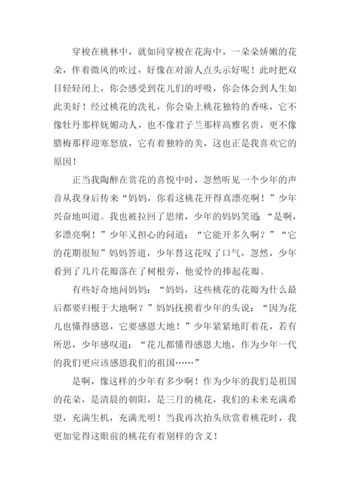 小学生描写桃花的作文.docx