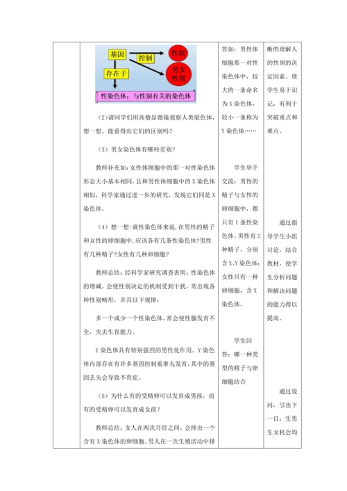 人教版八年级生物下册第七单元第二章第四节人的性别遗传教案（表格式）