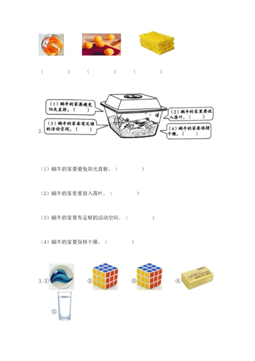 教科版一年级下册科学期末测试卷（精练）.docx