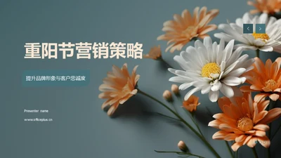 重阳节营销策略