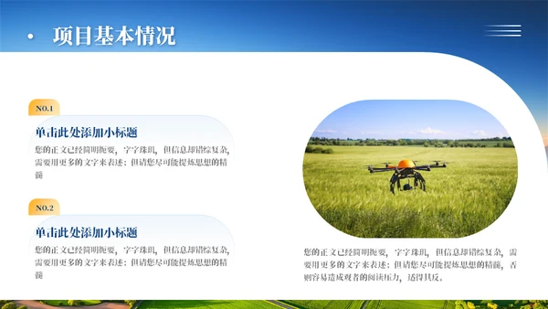 乡村振兴项目工作汇报通用PPT模板