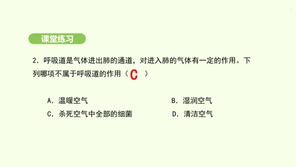 第四单元-第三章-第一节-呼吸道对空气的处理课件-2024-2025学年七年级生物下学期人教版(20