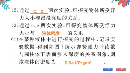 【人教版】物理八年级下册 第10章 专题（七）与浮力有关的实验 习题课件