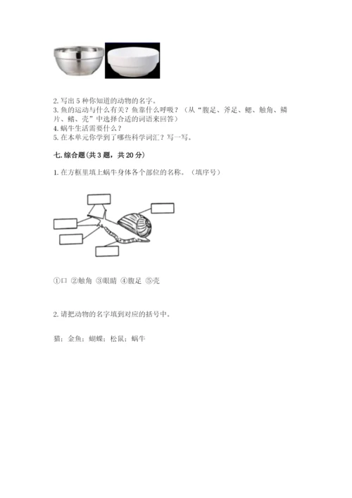 教科版小学科学一年级下册期末测试卷带答案（b卷）.docx