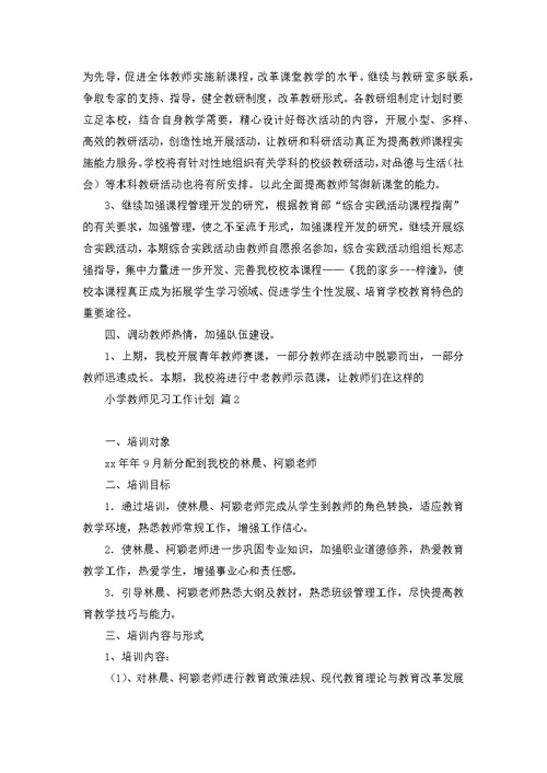 小学教师见习工作计划4篇