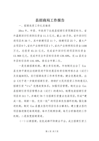 县招商局工作报告 (3).docx