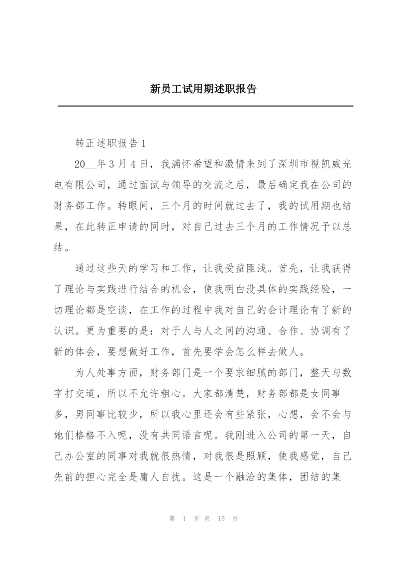 新员工试用期述职报告.docx