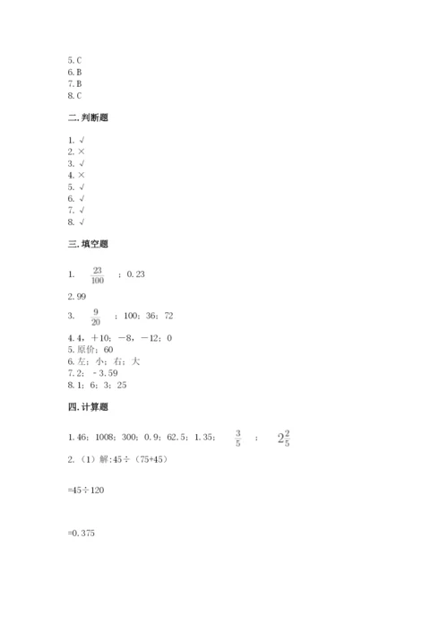 人教版六年级下册数学期末测试卷（典优）word版.docx