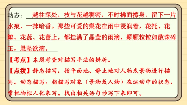 统编版语文五年级上册主题五　自然风光 阅读与写作指导   课件