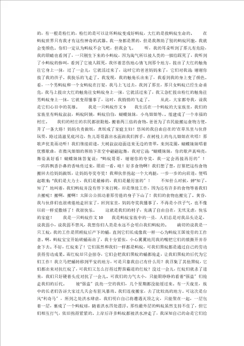 我是一只蚂蚁600字作文