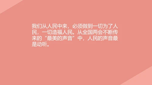 粉色党政风两会学习心得PPT模板