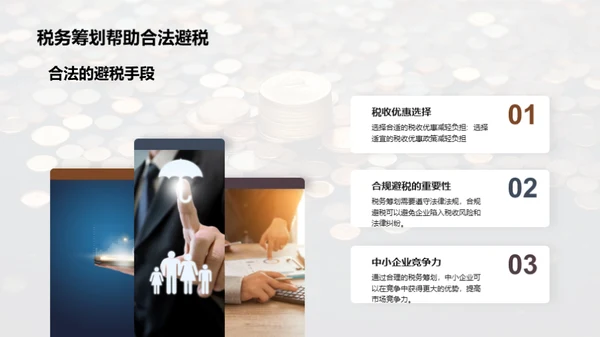 赋税智谋：中小企业之策