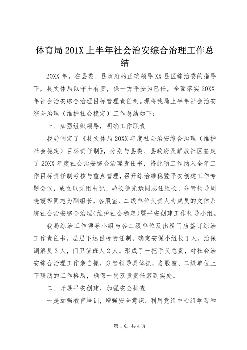 体育局201X上半年社会治安综合治理工作总结.docx