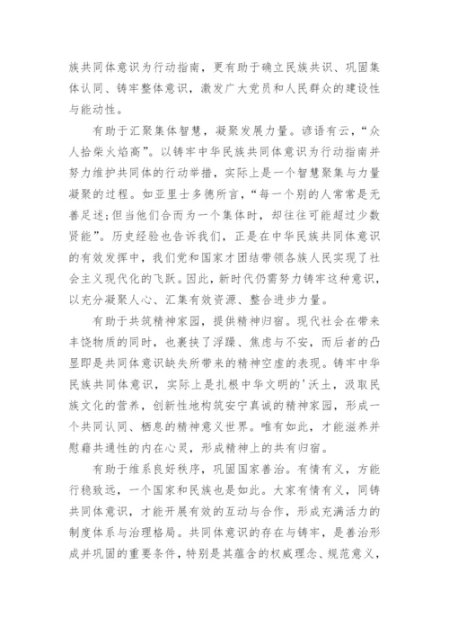 铸牢中华民族共同体意识心得体会范文.docx