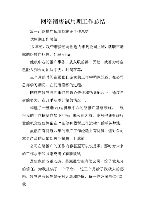 网络销售试用期工作总结