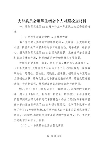 支部委员会组织生活会个人对照检查材料.docx