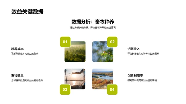畜牧业季度绩效回顾
