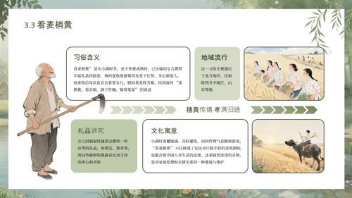 绿色手绘中国传统二十四节气之小满课件PPT模板