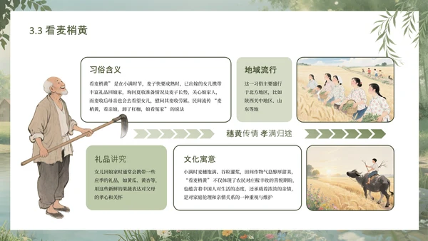 绿色手绘中国传统二十四节气之小满课件PPT模板