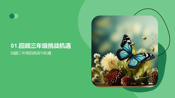 三年级，蜕变之旅