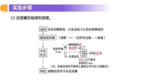人教版高中生物细胞元素化合物PPT课件