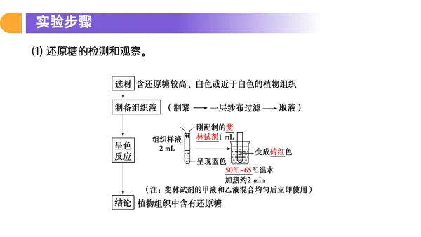 人教版高中生物细胞元素化合物PPT课件