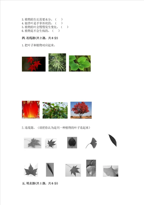 教科版科学一年级上册第一单元植物测试卷附参考答案a卷