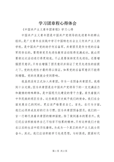 学习团章程心得体会 (2).docx