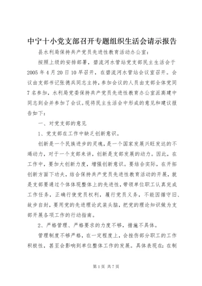 中宁十小党支部召开专题组织生活会请示报告.docx