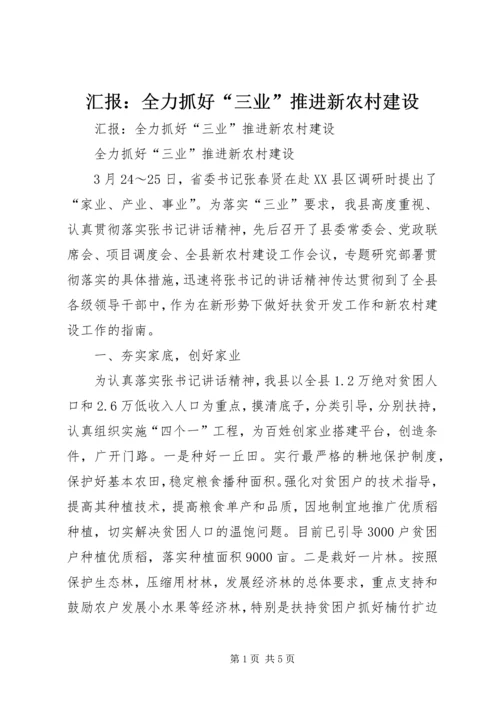 汇报：全力抓好“三业”推进新农村建设 (7).docx