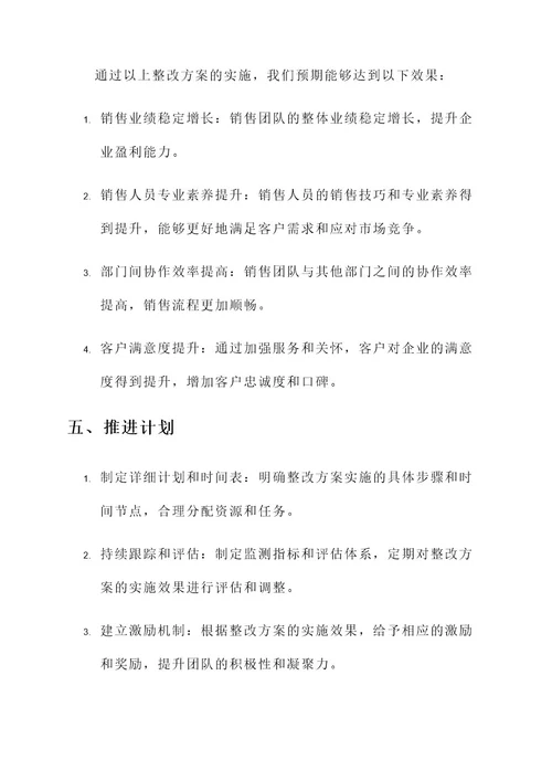 销售队伍整改可行性方案