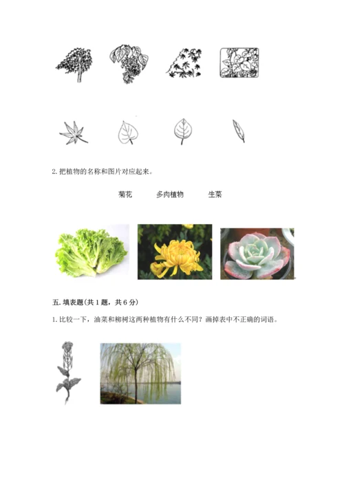 教科版科学一年级上册第一单元《植物》测试卷精品（典优）.docx