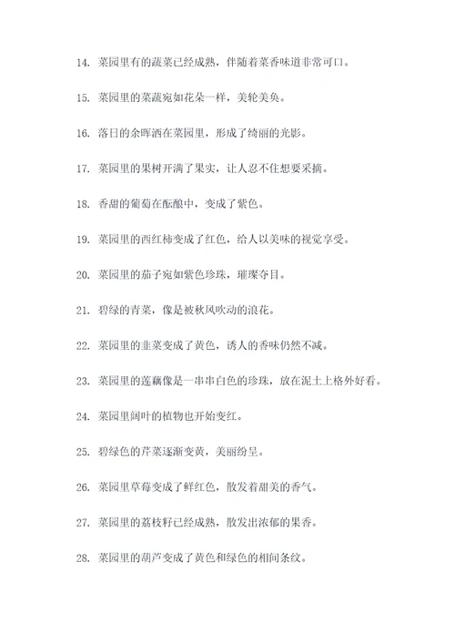 描写秋天的菜园好词好句