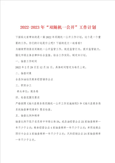 20222023年“双随机一公开工作计划