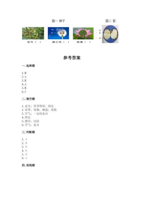 教科版科学四年级下册第一单元《植物的生长变化》测试卷（基础题）.docx